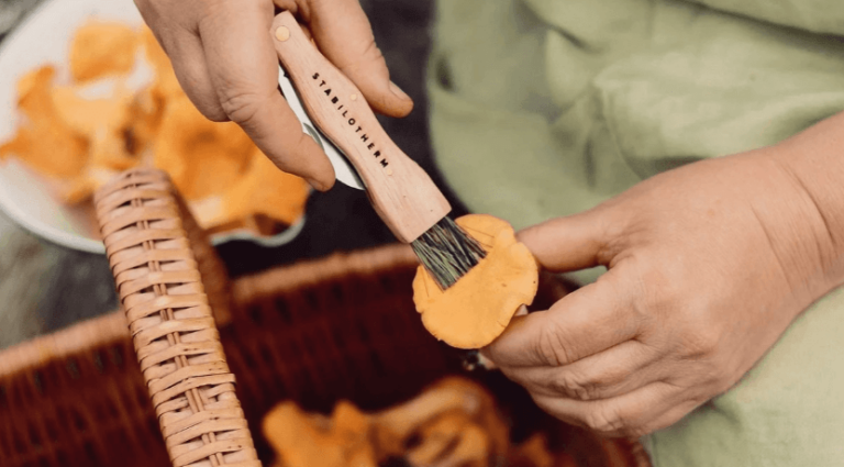Svampekniv med børste – Svampejægerens bedste ven