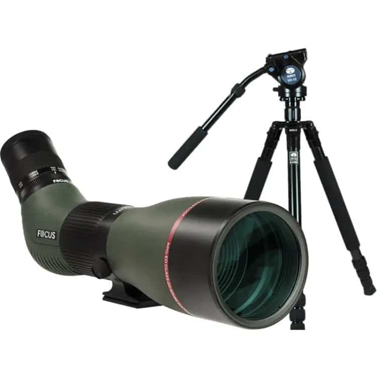 Focus Optimum 20-60x85 APO ED