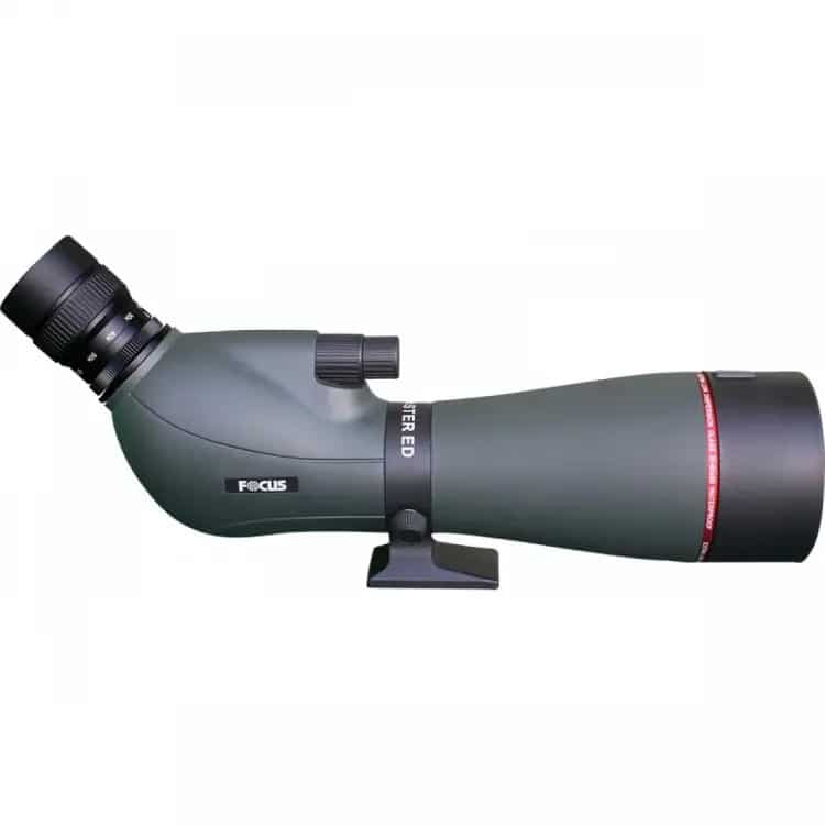 Focus Viewmaster ED 20-60x80 WP