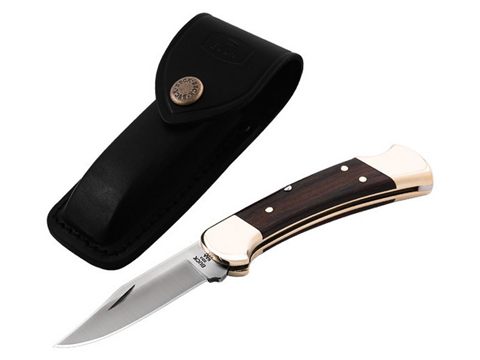 Buck 110 Folding Hunter